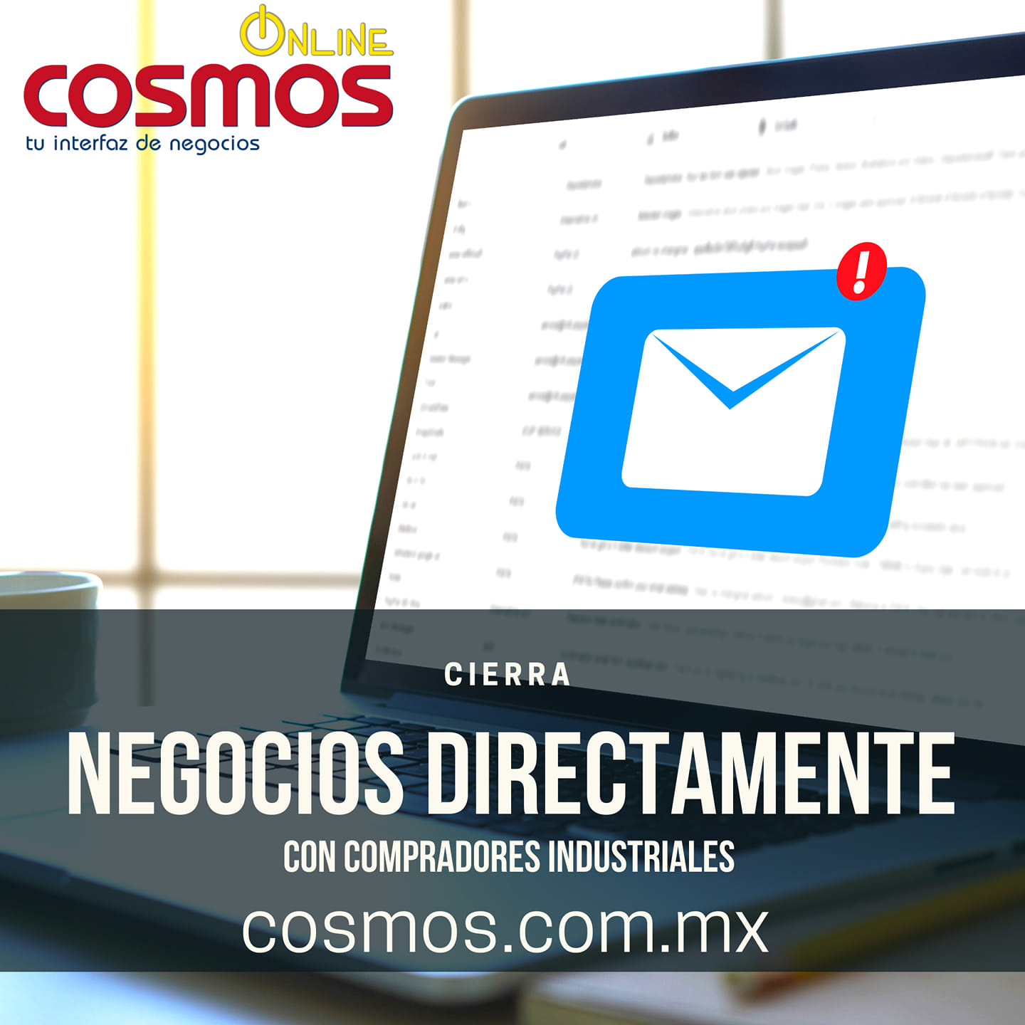 Cosmos Online B2B  en México 