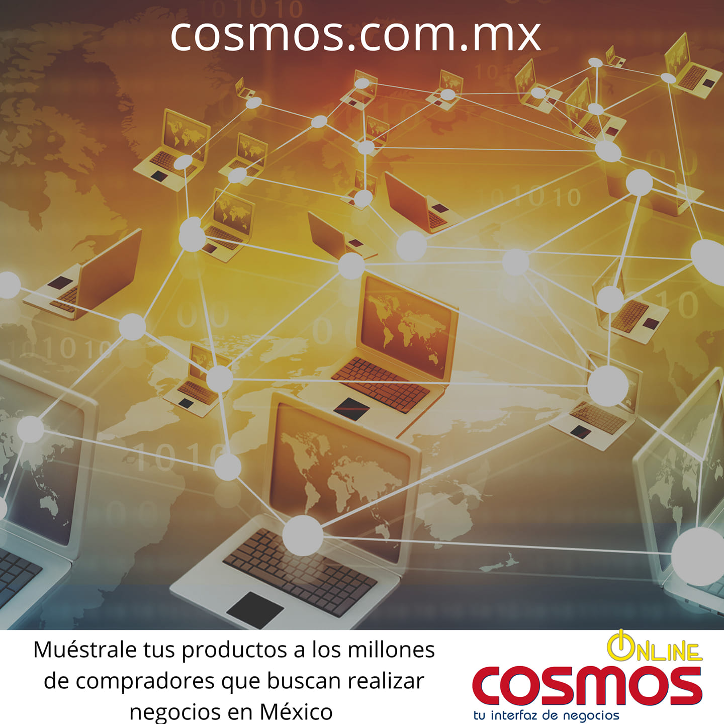 Cosmos Online B2B  en México 